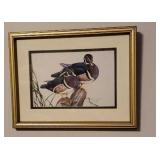 2 Duck prints - Woody budies & redheads