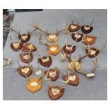 Tub lot of antlers, in clunding Bambi!