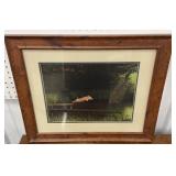 Print - pig jumping into a pond - approx 20"x24"