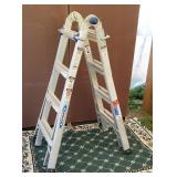 Werner multi ladder