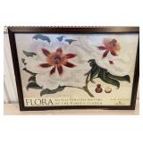 Framed Flora print by W.B. Elliot approx  27"x37"