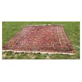 144"x104" Oriental carpet some wear - put under te