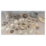 Box of pretty sea shells