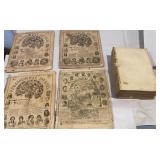 Early medical - Phenological Journals (