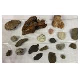 Box of rocks - some with fossils, rose quartz,