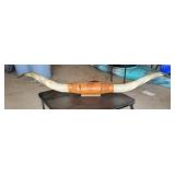 Long horn mount. 84"