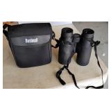 Bushnell 10 x 42  binoculars.
