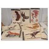 11 vintage wildlife decals - orig package