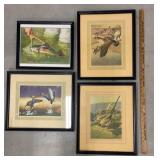 4 framed hunting/fishing themed prints