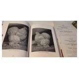 Box of nice poultry books - Great lithos - Babcock