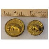 2 Billy possum buttons