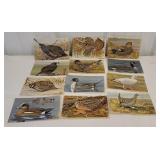 12 Louis Agassiz Fuertes game bird postcards