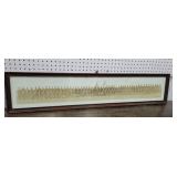 668 supply squadron photo - aprx 9½" x 45½"