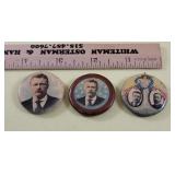 3 Theodore Roosevelt pins