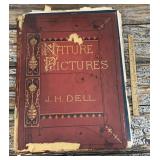 Nature Pictures by J.H. Dell circa 1871- has seen