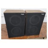 Pair Panasonic speakers