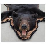 Bear rug