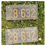 Pair 1929 PA license plates- barn dirty :)