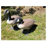 2 geese decoys