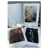 Book - Woodland Portraits by Jeanette Klute-