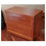 2 drawer hanging file cabinet with