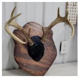 Deer rack