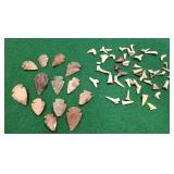 Arrowheads, shark teeth