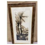 Artist signed photograph - palm trees approx