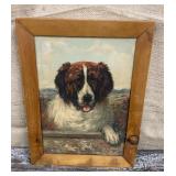 Framed St. Bernard print approx 13"x16"