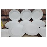 Set of 10 nice ironstone 10-in plates j&g meakin