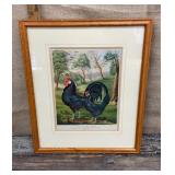 Framed litho - Black Hamburg Fowls approx 13"x16"