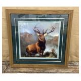 HUGE Framed print The Monarch of the Glen