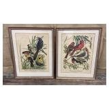 2 Arthur Singer bird prints approx 16"x20" each