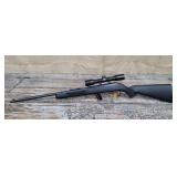 Savage model 64 22lr with scope (21)