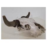 Cow skull