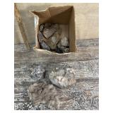 Box of fossils/rocks