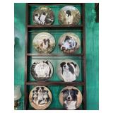 8 border collie collector plates