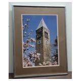 Ithaca - Magnolias McGraw Tower by Jim Birch -