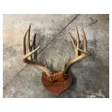 Antler mount