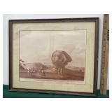 Spinx head Egypt framed print