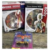 2 human Anatomy models and Kodak Sizzlers car