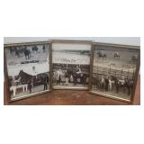Horse racing trio photo $$ donated to Stray Haven