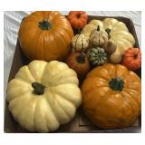Nice Fall decorative gourds pumpkins