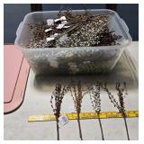 Full tub country berries CLEAN!!