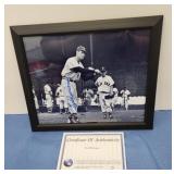 Framed photo 8x10 signed Ted Williams
