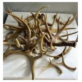 19ï¿½x13ï¿½ Box Full Of Antlers
