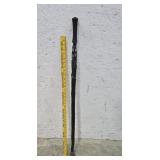 Walking stick