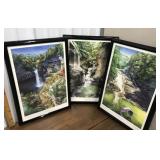3 beautiful prints of NYS parks- Taughannock