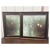 Pair framed bird prints
