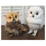 2 Owls